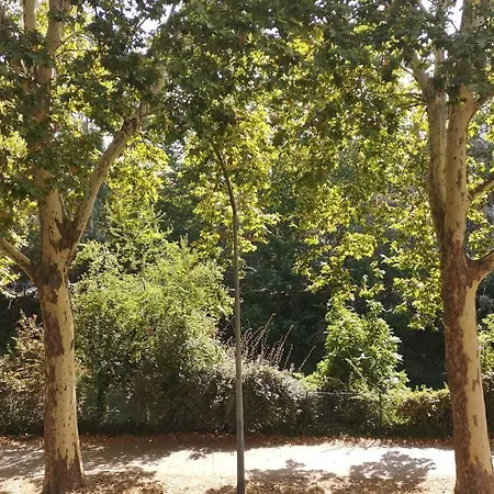 L'élégance Du Midi - Climatisation Réversible