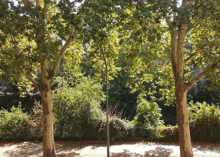 L'elegance Du Midi - Climatisation Reversible